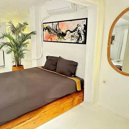 Lejlighed White Near To Istiklal Street With Sea View Istanbul